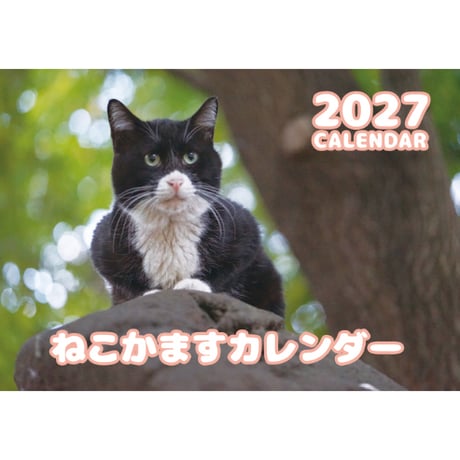 【予約販売】 ねこかます 猫 2027年 壁掛け カレンダー KK27125