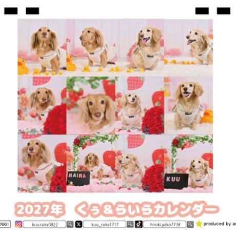 【予約販売】 くぅ＆らいら ミニチュアダックス 犬 2027年 卓上 カレンダー TC27250