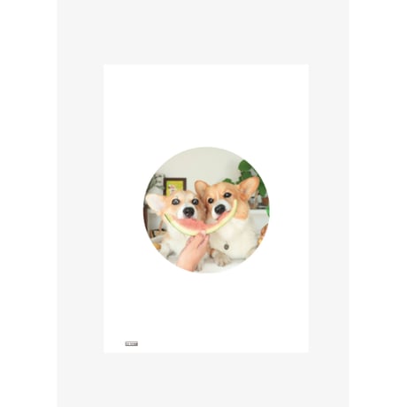 【予約販売】 初めてのコーギー 犬 家計簿帳 No13