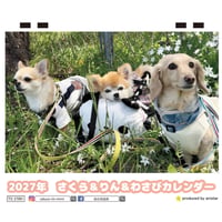 【予約販売】 さくら＆りん＆わさび 犬 2027年 卓上 カレンダー TC27076
