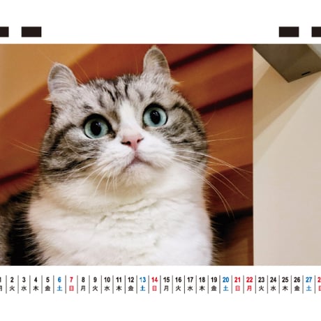 【予約販売】 猫のこまる 2027年 卓上 カレンダー TC27190