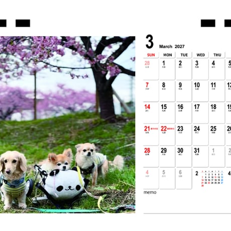 【予約販売】 さくら＆りん＆わさび 犬 2027年 卓上 カレンダー TC27076