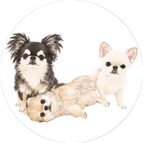 【予約販売】 うに&えび&とろ チワワ 犬 缶バッジ 3個セット GE013NN
