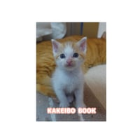 【予約販売】 ねこかます 猫 家計簿帳No12 CA012NN