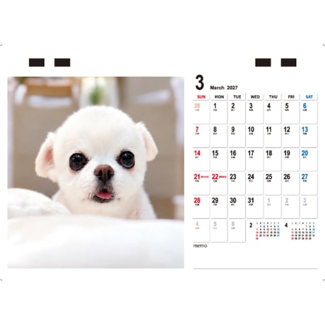 【予約販売】 てんちゃん＆たるちゃん 2027年 卓上 カレンダー TC27193