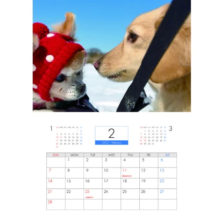 【予約販売】 さくら チワワ 犬 2027年 壁掛け カレンダー KK27075