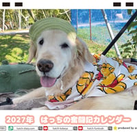 【予約販売】 ゴールデンレトリバー はっちの奮闘記 犬 2027年 卓上 カレンダー TC27153