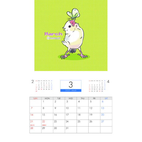 【予約販売】 文鳥 こむぎ 2027年 壁掛け カレンダー KK27216