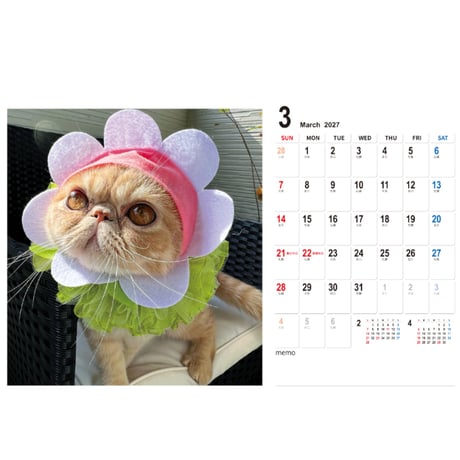 【予約販売】 むーちゃんとちぇるしー エキゾチック猫 2027年 卓上 カレンダー TC27070