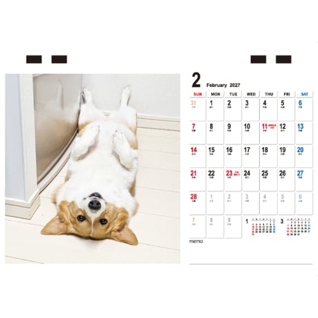 【予約販売】 こまち コーギー 犬 2027年 卓上 カレンダー TC27248
