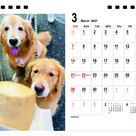 【予約販売】 コメ&イクラ ゴールデンレトリバー 犬 2027年 卓上 半面 カレンダー TA27225