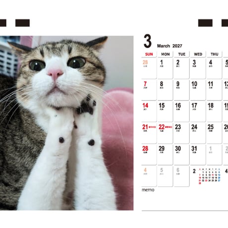 【予約販売】 すずめ＆うなぎ 猫 2027年 卓上 カレンダー TC27155