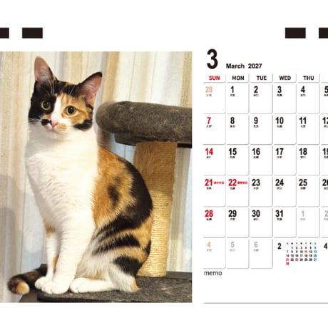 【予約販売】 猫のピノパル兄弟ニャン喜劇 2027年 卓上 カレンダー TC27172