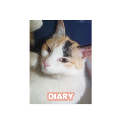 【予約販売】 ねこかます 猫 日記帳No15 DR015NN