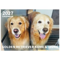 【予約販売】 コメ&イクラ ゴールデンレトリバー 犬 2027年 壁掛け カレンダー KK27223