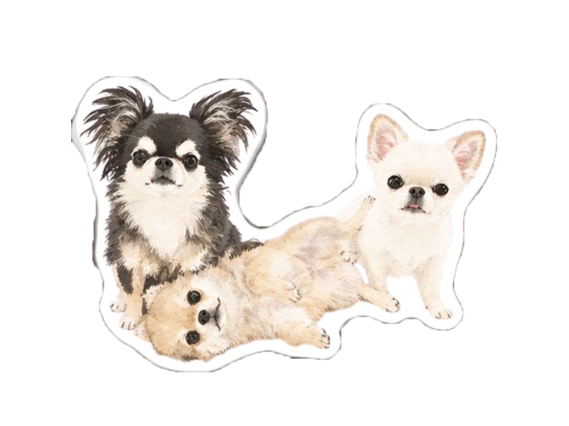 予約販売】 うに&えび&とろ チワワ 犬 ステッカー 3枚セット SU038NN