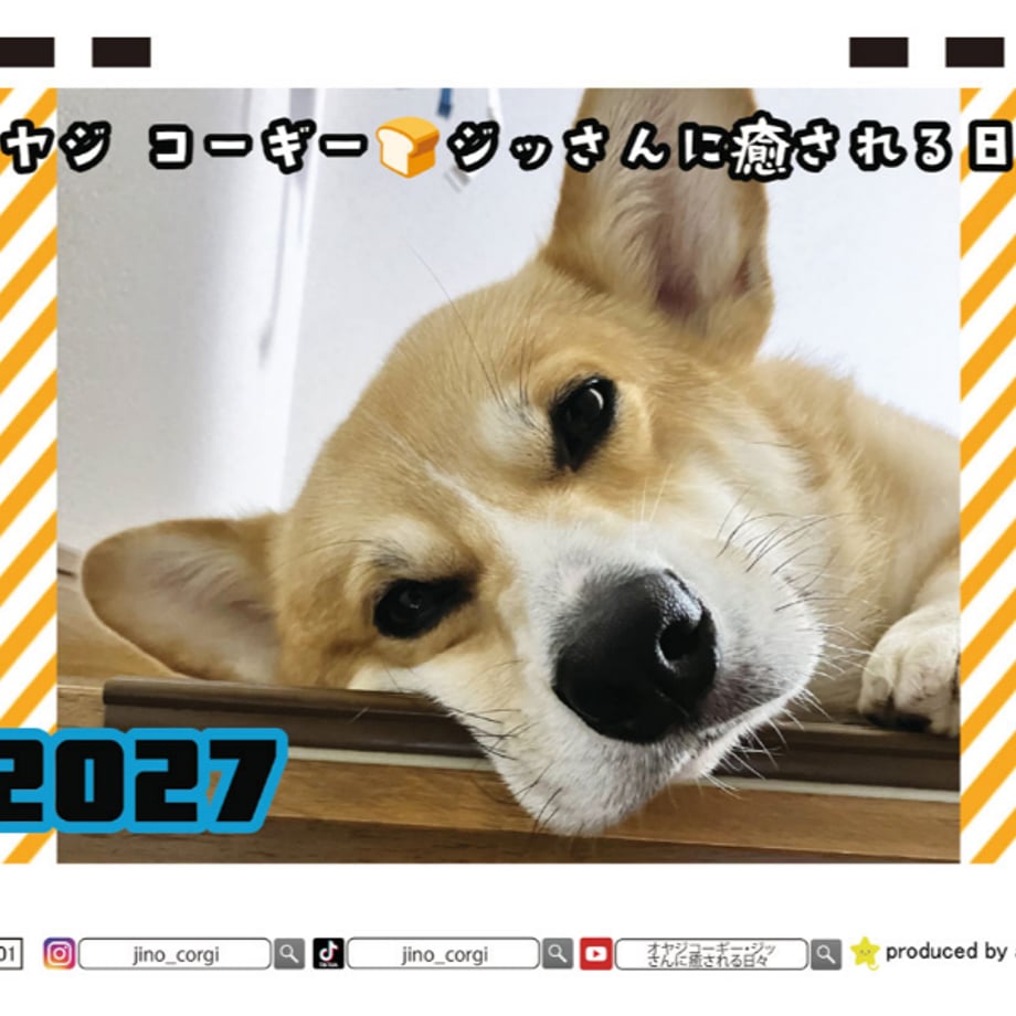 6abcfb4108dddcf185a13d63