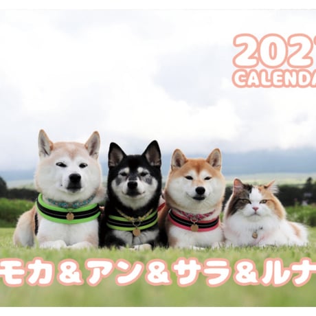 【予約販売】 柴犬 モカ＆アン＆サラ＆ルナ 2027年 壁掛け カレンダー KK30176