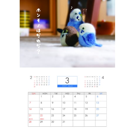 【予約販売】 ポコそら 鳥 インコ 2027年 壁掛け カレンダー KK27063
