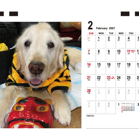 【予約販売】 ゴールデンレトリバー はっちの奮闘記 犬 2027年 卓上 カレンダー TC27153