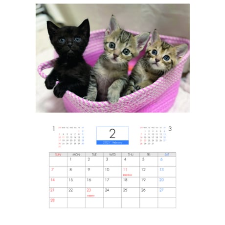 【予約販売】 ねこたま庵 猫 2027年 壁掛け カレンダー KK35200