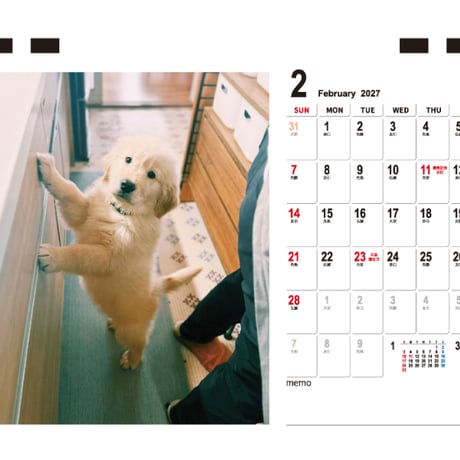 【予約販売】 ゴールデンレトリバー ダン 犬 2027年 卓上 カレンダー TC27160