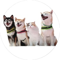 【予約販売】 柴犬 モカ＆アン＆サラ＆ルナ 缶バッジ No11 3個セット