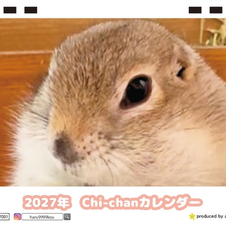 【予約販売】 Chi chan リチャードソンジリス 2027年 卓上 カレンダー TC27088