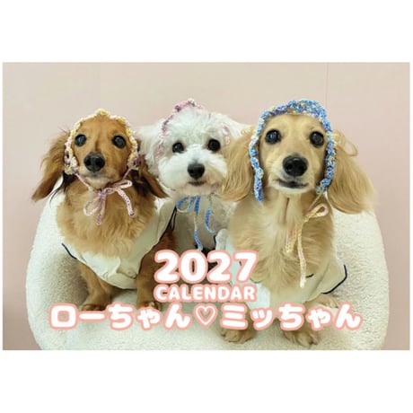 【予約販売】 ローちゃん ミッちゃん ダックスフンド 犬 2027年 壁掛け カレンダー KK27156