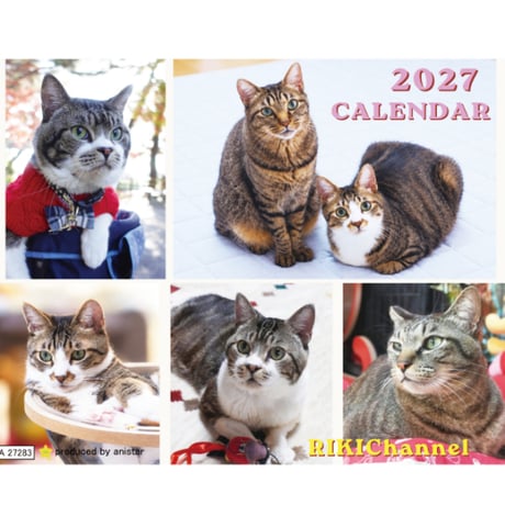 【予約販売】 リキちゃんねる 猫 2027年 卓上 カレンダー TC27283