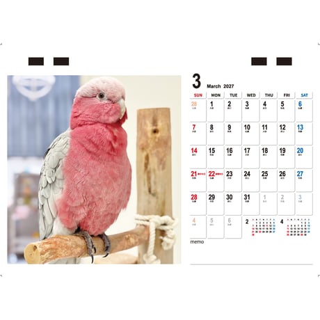 【予約販売】 2羽と暮らすあんずちゃんねる インコ 2027年 卓上 カレンダー TC27295