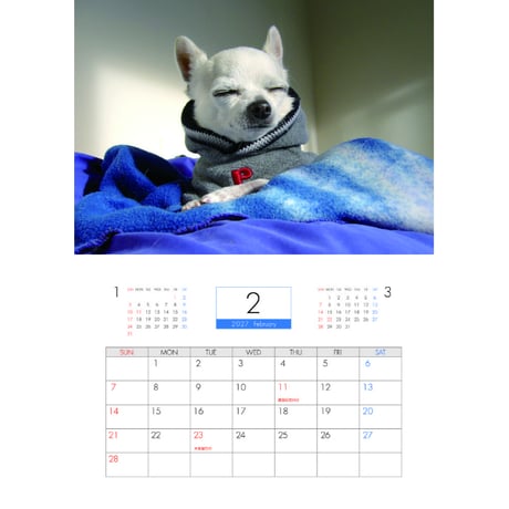 【予約販売】 ちわわん生活 犬 チワワ 2027年 壁掛け カレンダー KK27066
