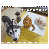【予約販売】 犬と猫の親バカ日記 2027年 卓上 カレンダー TA27115