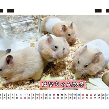 【予約販売】 ハムスターちゃんねる 2027年 卓上 カレンダー TC27260
