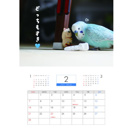 【予約販売】 ポコそら 鳥 インコ 2027年 壁掛け カレンダー KK27063
