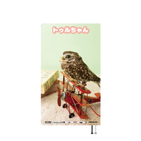 【予約販売】 ふくろうのトゥルちゃん 2027年 ポケットスケジュール帳 PO27108