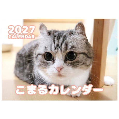 【予約販売】 猫のこまる 2027年 壁掛け カレンダー KK33189