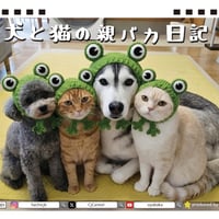 【予約販売】 犬と猫の親バカ日記 2027年 卓上 カレンダー TA27113
