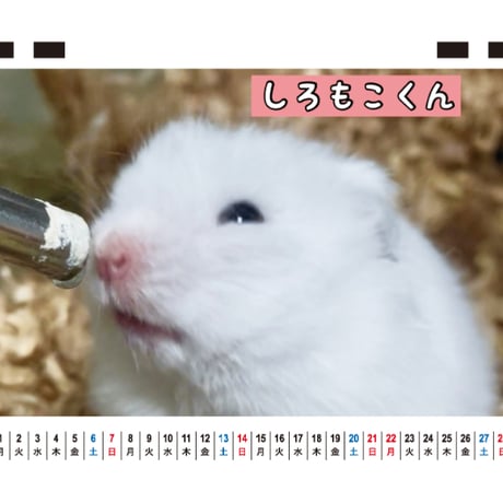 【予約販売】 ハムスターちゃんねる 2027年 卓上 カレンダー TC27260