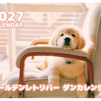 【予約販売】 ゴールデンレトリバー ダン 犬 2027年 壁掛け カレンダー KK27159
