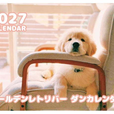 【予約販売】 ゴールデンレトリバー ダン 犬 2027年 壁掛け カレンダー KK27159