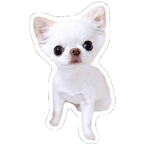 【予約販売】 おもちちゃん＆おかゆちゃん＆おしるこくん チワワ 犬 ステッカー No36 3枚セット