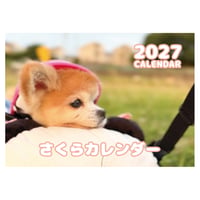 【予約販売】 さくら チワワ 犬 2027年 壁掛け カレンダー KK27075