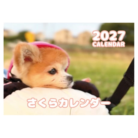 【予約販売】 さくら チワワ 犬 2027年 壁掛け カレンダー KK27075