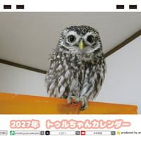 【予約販売】 ふくろうのトゥルちゃん 2027年 卓上 カレンダー TC27106