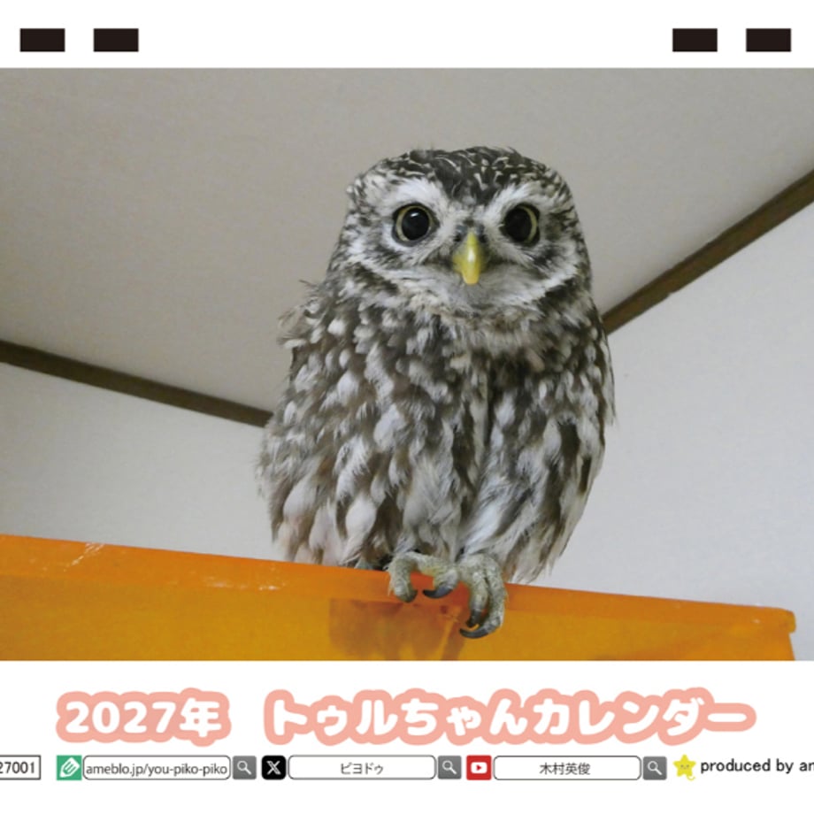6ab2200c5694506c50bf7812