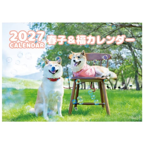 【予約販売】 柴犬の春子＆福 2027年 壁掛け カレンダー KK27280