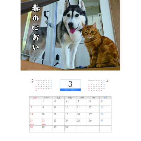 【予約販売】 犬と猫の親バカ日記 2027年 壁掛け カレンダー KK27111