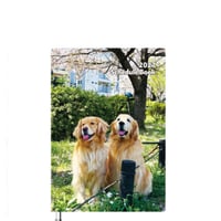 【予約販売】 コメ&イクラ ゴールデンレトリバー 犬 2027年 A5スケジュール帳 A527226