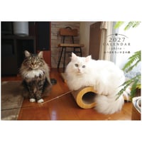 【予約販売】 あつまれちいかまの森 猫 2027年 壁掛け カレンダー KK27307